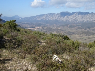 PLATEAU DE LA TOUREZE-po