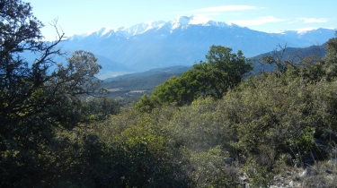 TRILLA - COL DE ST JEAN - VALLON DE BALDERBE-po