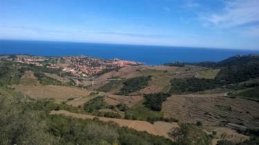 LES HAUTS DE COLLIOURE (VARIANTE)-po