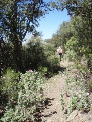 JOCH - CROIX DU PIC DE LA FEIXES - COL DE LA CREU DE LES FOUS - VARIANTE PLUS LONGUE-po