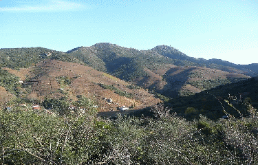 RIMBEAU - TOUR DE LA MASSANE-po