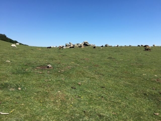 BANYULS SUR MER - COL DES GASCONS - PIC 4 TERMES - LES COULOUMATES-po