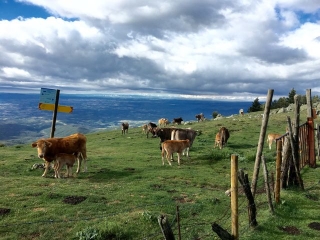 SAINT MARTIN DE L ALBERE - LIGNE DE CRETE - PIC NEOULOUS -po