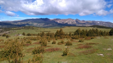 FONT ROMEU  -  PIC DELS MOROS-po