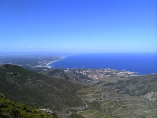 COLLIOURE - TOUR MADELOC-po