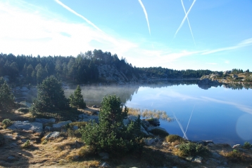 CARLIT - EN BOUCLE-po