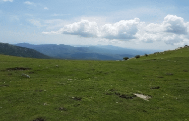 SOREDE - PIC DE NEULOS - ALBERES-po