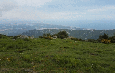 SOREDE - PIC DE NEULOS - ALBERES-po