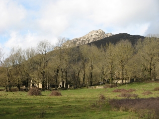 CAUDIES - PLATEAU DE CAMPEAU-po