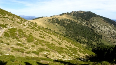 pyrenees-catalanes - MANTET - PUIG DE RIBES BLANQUES (2445 M)