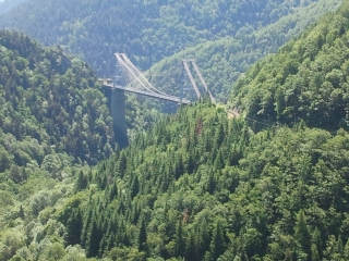 LE LONG DU TRAIN JAUNE-po