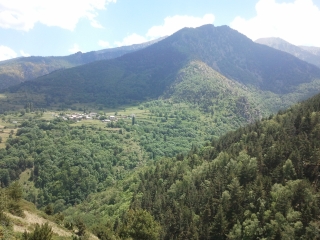 LE LONG DU TRAIN JAUNE-po