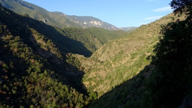 pyrenees-catalanes - CONAT - SERRAT DE MIRALLES