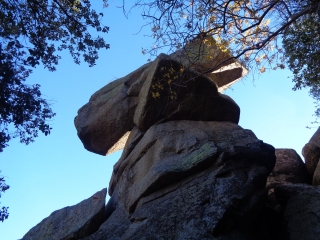 EUS COMA - VARIANTE-po