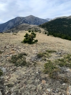 COL - PALOMERE - LAPINOUSE - PIC-DE L ESTELLE-po