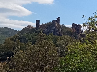 MOLITG - RUINES DU CHATEAU DE PARACOLIS-po