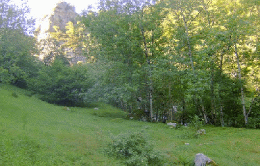 CANTAPOC - RESERVE NATURELLE DE PY-po