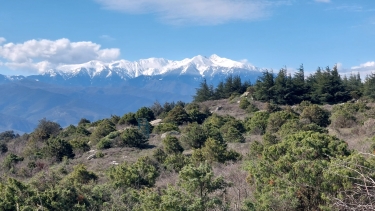 COL DE LA BATAILLE, CALADROY, PIC D'AUBEIL-po
