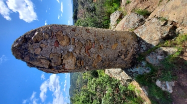 LE TOUR DES ORGUES D'ILLE SUR TêT-po