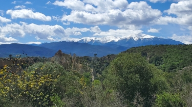 LE TOUR DES ORGUES D'ILLE SUR TêT-po