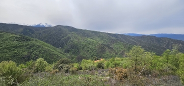 GLORIANES - SANTA ANNA EN BOUCLE-po