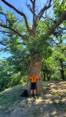 PALALDA MONTBOLO EN BOUCLE-po