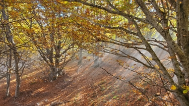 BATèRE FORMENTERA-po
