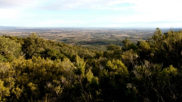 TORDERES -ROC DE QUERS- LA TORRE DE L' ERA-po