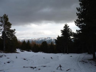 SENTIER DU COLL DEL PALM-po
