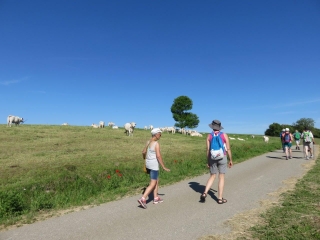 BALADE ENTRE DEHLINGEN ET SCHMITTVILLER-bas-rhin-strasbourg