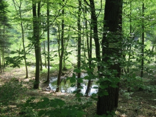 URMATT - ROCHERS DE ROSINENFELS - CASCADE DE SOULTZBACH-bas-rhin-strasbourg