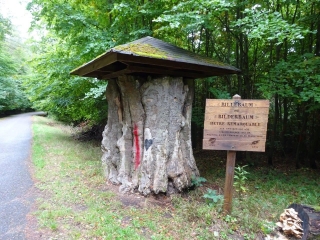 SAVERNE SCHAEFERPLATZ - CHATEAU OCHSENSTEIN - ROCHER DU GEISSFELS-bas-rhin-strasbourg