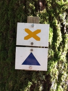 LALAYE HONEL BANC DU FORESTIER-bas-rhin-strasbourg