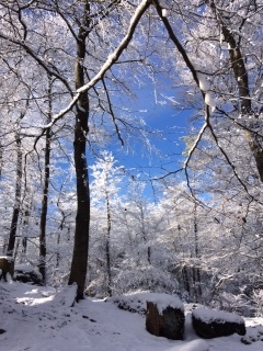HIRSCHBERG-bas-rhin-strasbourg