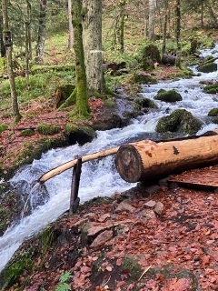 BOUCLE NEUVILLER-LA-ROCHE SERVA-bas-rhin-strasbourg