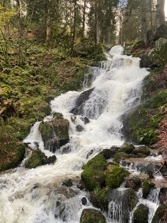 BOUCLE NEUVILLER-LA-ROCHE SERVA-bas-rhin-strasbourg