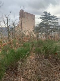 ORTENBOURG - RAMSTEIN-bas-rhin-strasbourg