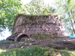 ETANG DU COUCOU - TETE PELEE-bas-rhin-strasbourg