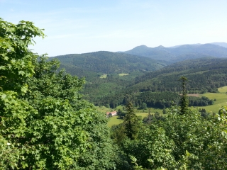 ETANG DU COUCOU - TETE PELEE-bas-rhin-strasbourg