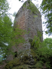CASCADE DU NIDECK-bas-rhin-strasbourg