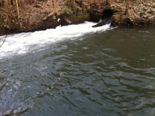 SENTIER BOTANIQUE ET DE LA FAISANDERIE-bas-rhin-strasbourg