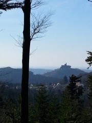 OBERSTEIGEN ZOLLSTOCK RETOUR VIA LE SATELFELS-bas-rhin-strasbourg