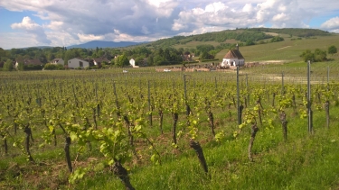 LE HORN ET LE SCHARRACHBERG-bas-rhin-strasbourg