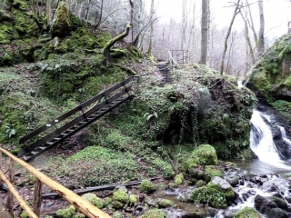 MOOSCH - BLAUFELS - THANNERHUBEL - VOGELSTEINE - BELACKER-haut-rhin