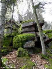 WESTHALTEN - SCHAUENBERG-haut-rhin