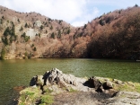 RIMBACH - LAC DES PERCHES - ROUGE GAZON-haut-rhin