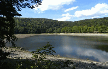 LAC DE LA LAUCH-haut-rhin