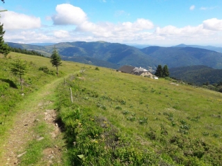 LE MARKSTEIN - LE GRAND BALLON - LE LAC DE LA LAUCH-haut-rhin