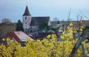 AUBURE-haut-rhin