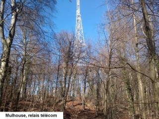RIEDISHEIM - CIRCUIT DU TANNENWALD-haut-rhin